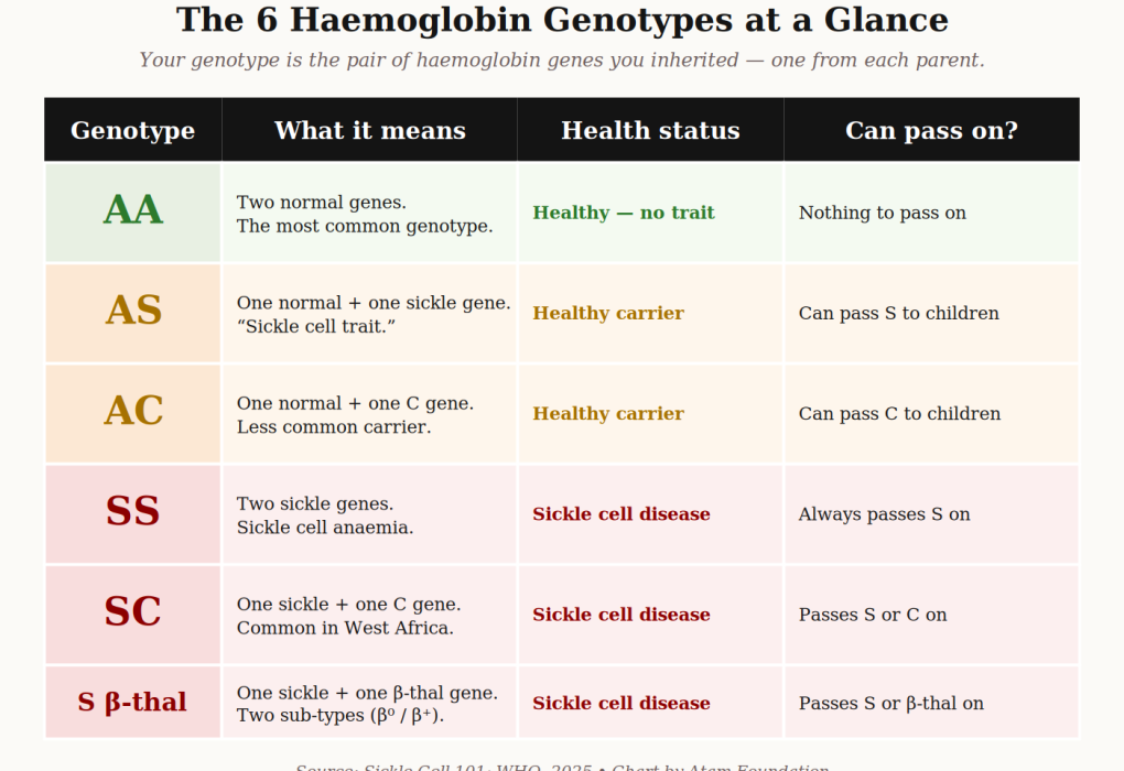 genotype chart