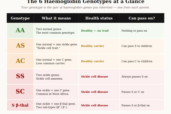 genotype chart