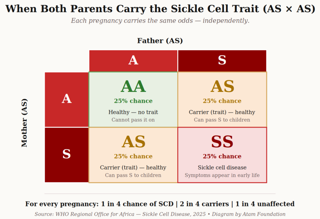 types of sickle cell diseases in Ghana